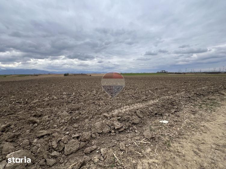 Teren de 2800 mp, în Șelimbăr