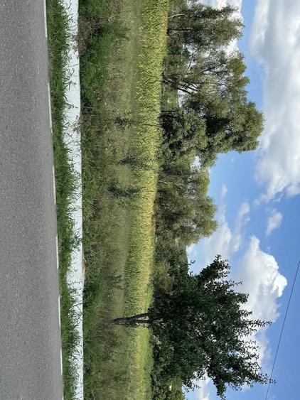 Teren de 1000 mp, în Lipovăț