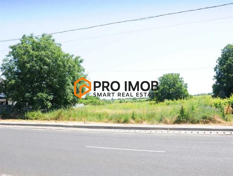 Teren intravilan de 7309 mp, în Cotești