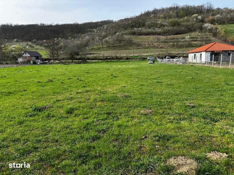 Teren de 3100 mp, în Jichișu de Jos