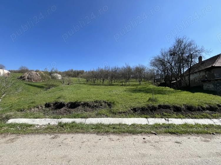 Teren de 2250 mp, în Aluniș