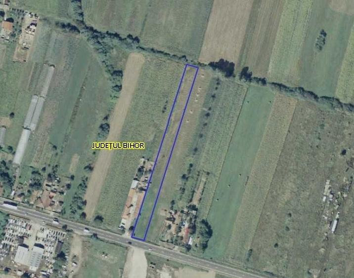 Teren de 3544 mp, în Uileacu de Criș