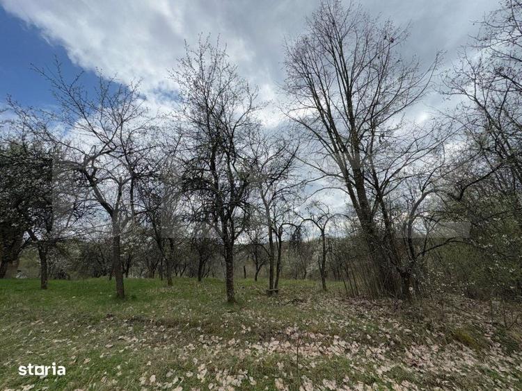 Casă cu 2 camere cu Teren 10000 Mp în Central