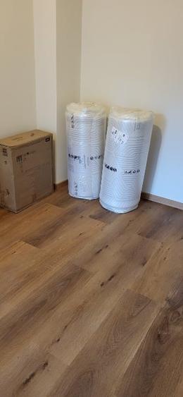 Apartament cu 2 camere decomandat în Săsar
