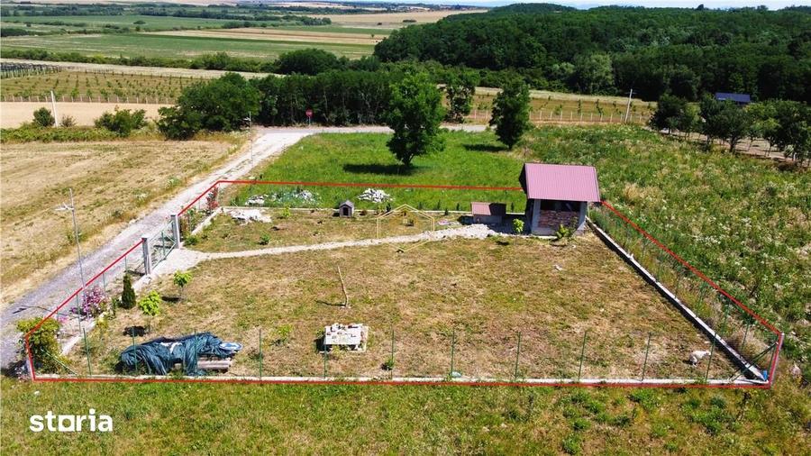 VIDEO | Loc de casa, cabana sau turism - Ardud | Vedere spre Satu Mare - 15