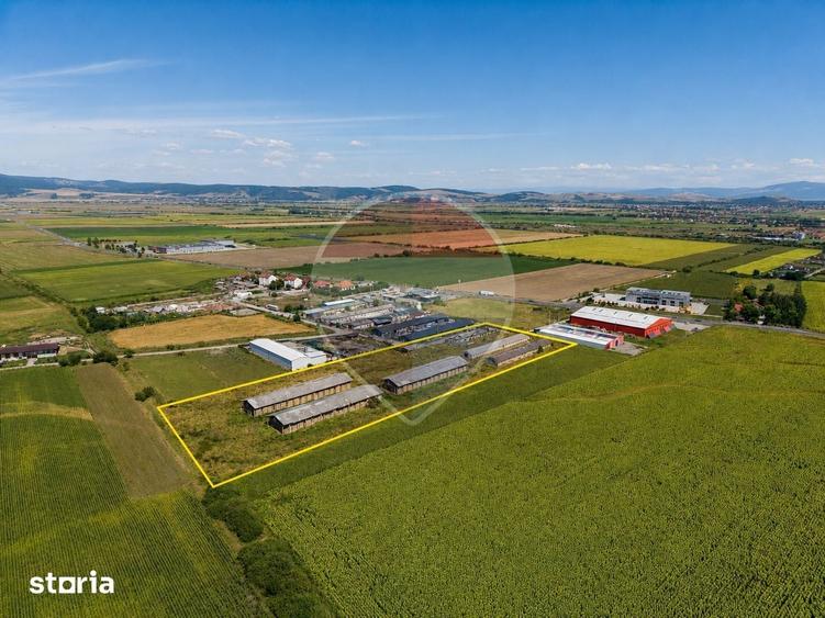 Teren de 17500 mp, în Hălchiu