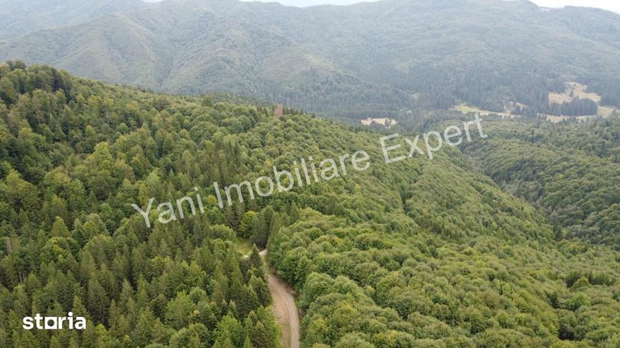 Teren de vanzare pe Transfagara?an, zona Molivi?u ( 69.450 mp ) - 1