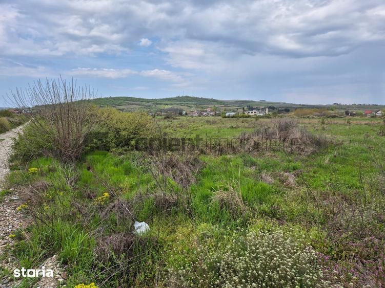 Teren de 9600 mp, în Central