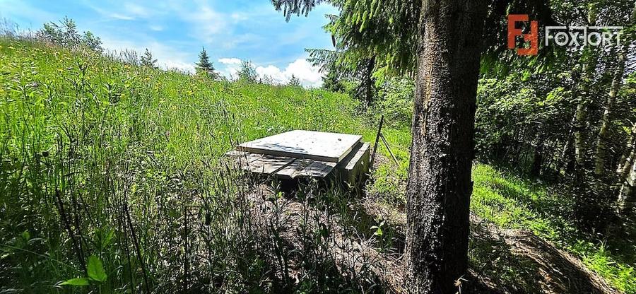 Teren de 5141 mp, în Costești (Albac)