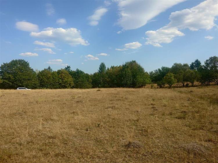 Teren agricol extravilan de 9059 mp, în Exterior Est