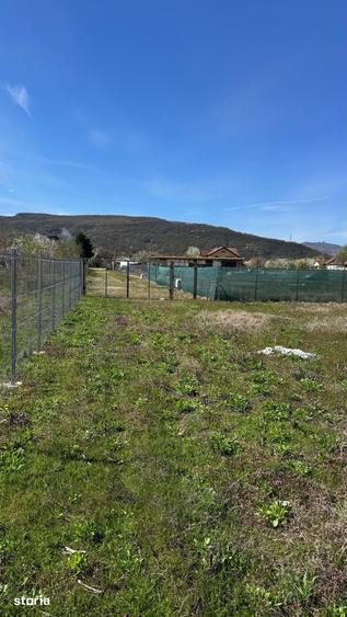 Teren de 1255 mp, în Bujoreni
