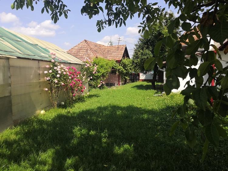 Teren agricol intravilan de 12000 mp, în Ierbuș