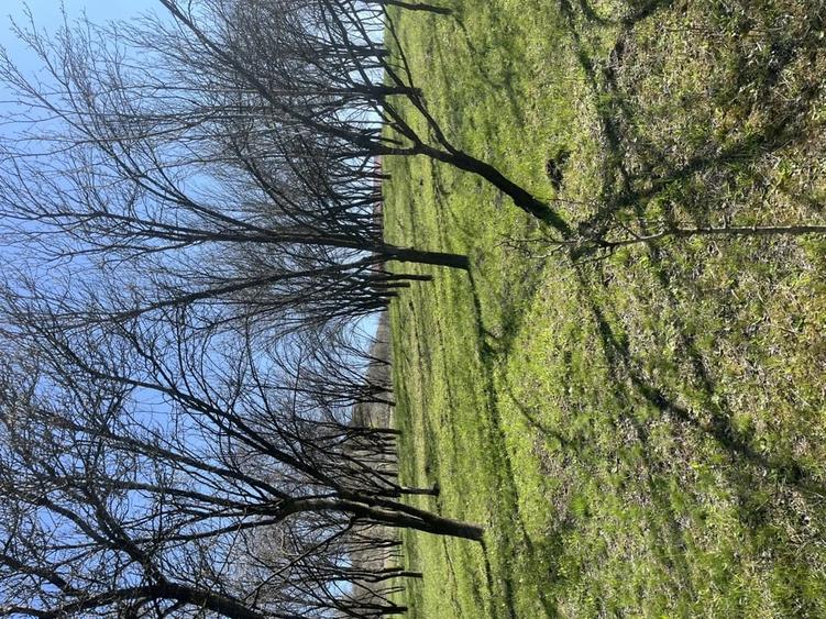 Teren de 2250 mp, în Aluniș