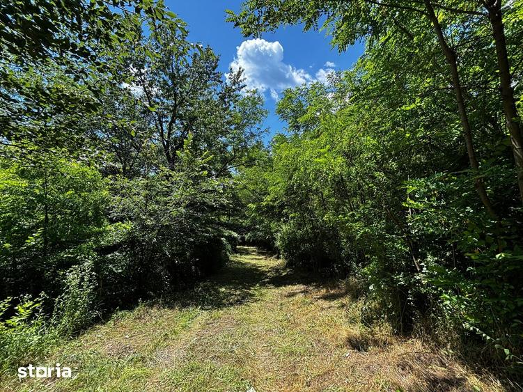 Teren de 6857 mp, în Bujoreni