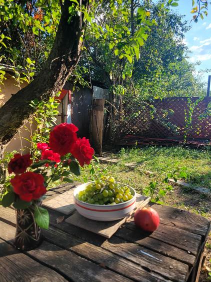 Casă cu 4 camere cu Teren 2900 Mp în Clinceni