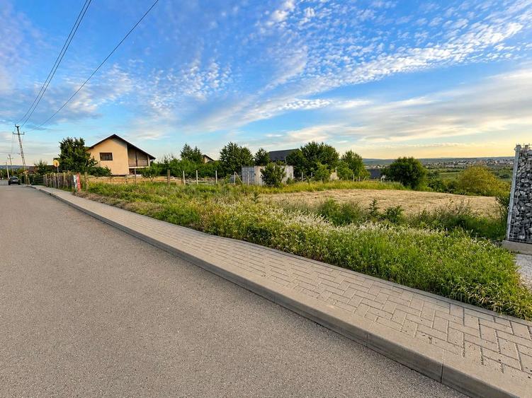 Teren agricol intravilan de 3271 mp, în Valea Lupului