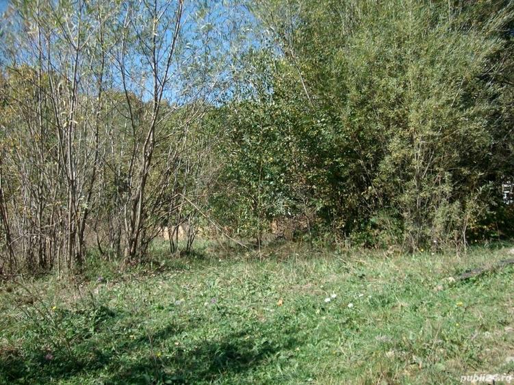 Teren de 1500 mp, în Molid