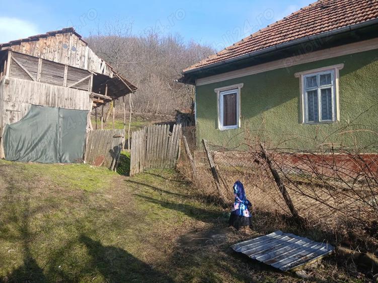 Casă cu Teren 1080 Mp în Blăjani