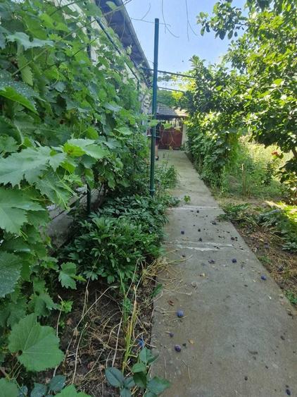 Casa de vanzare, Jud.Teleorman - 4
