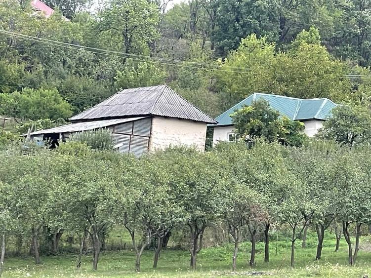 Casă cu 3 camere în Săliște