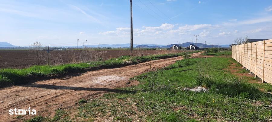 Teren de 52800 mp, în Tărlungeni