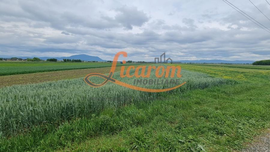 Teren Construcții intravilan de 4600 mp, în Stupini