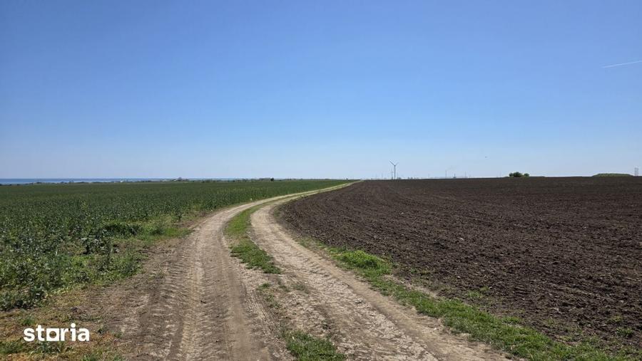 Teren de 2000 mp, în Corbu
