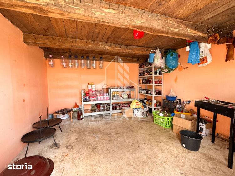 Casă cu 4 camere cu Teren 3534 Mp în Blăjeni
