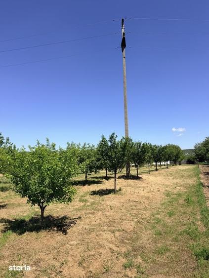 Casă cu 6 camere cu Teren 3000 Mp în Cârcea
