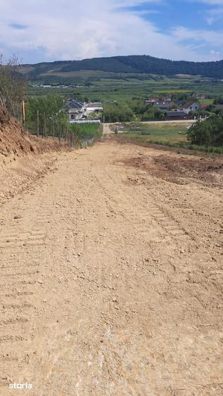 Teren de 500 mp, în Viișoara