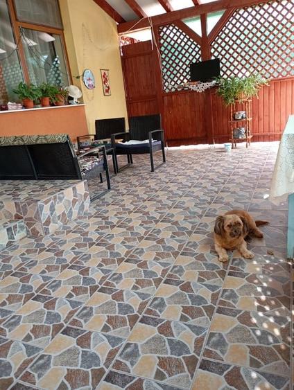Casă individuală cu 4 camere cu Canalizare în Prundu