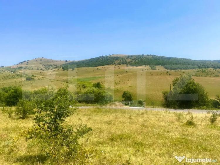 Teren de 1100 mp, în Ciurila