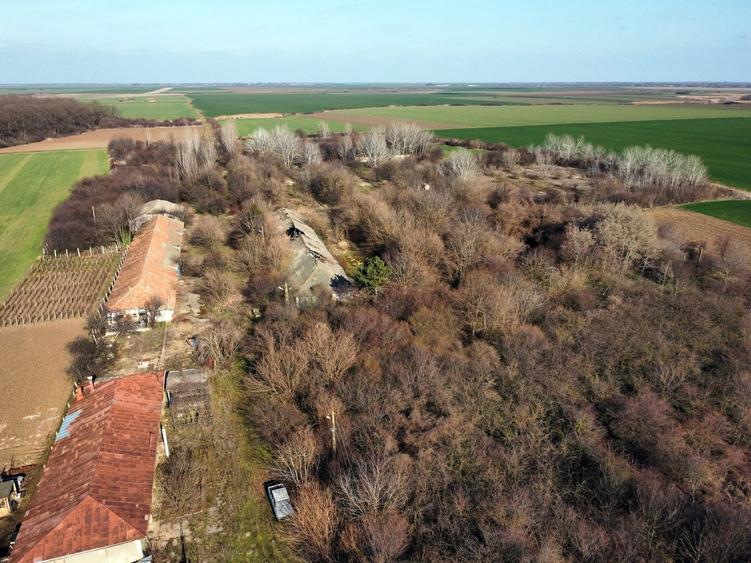 Teren Construcții intravilan de 70291 mp, în Micșunești-Moară
