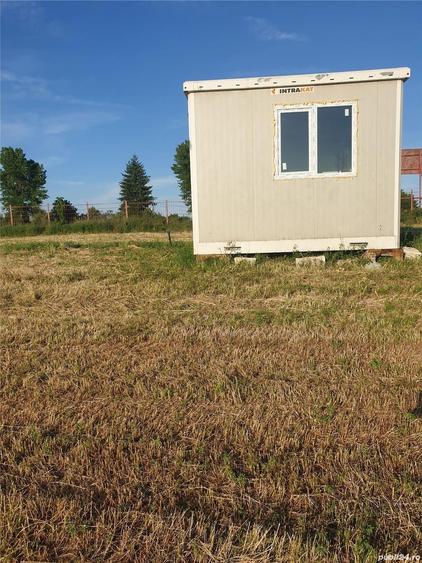 Teren de 6000 mp, în Comana