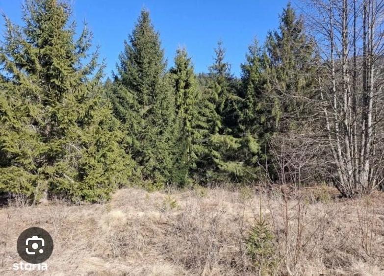 Teren de 26000 mp, în Dealu Negru