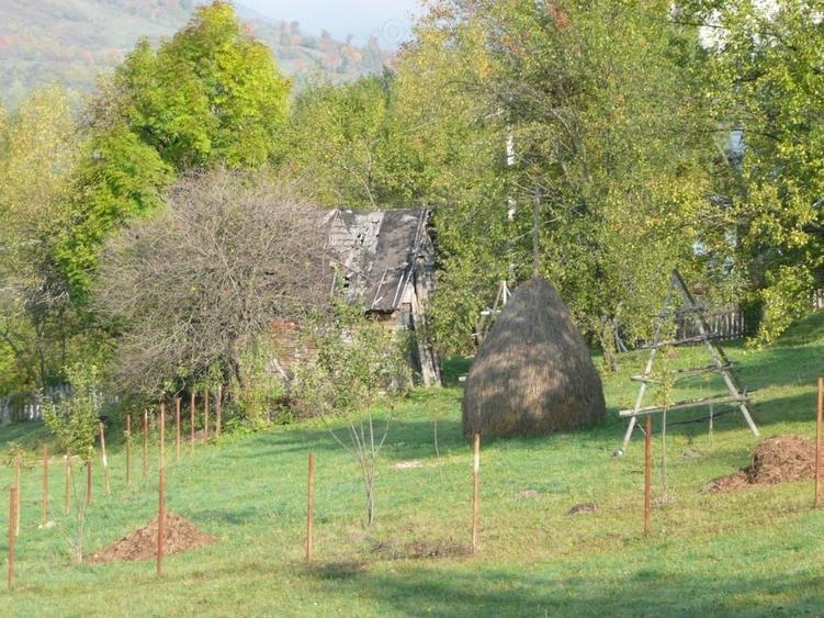 Teren de 1000 mp, în Teșila
