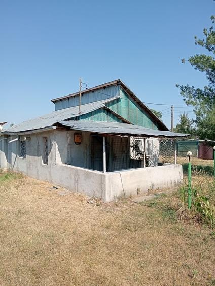 Casă cu 2 camere cu Teren 2500 Mp în Central