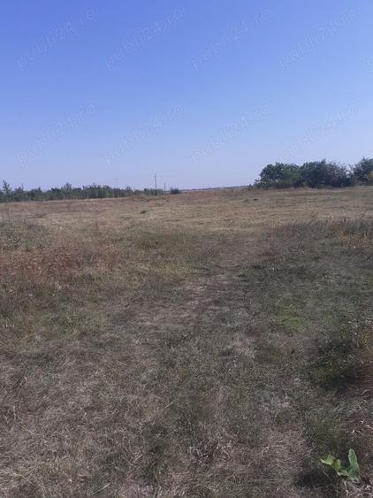 Teren de 6881 mp, în Odaia Banului