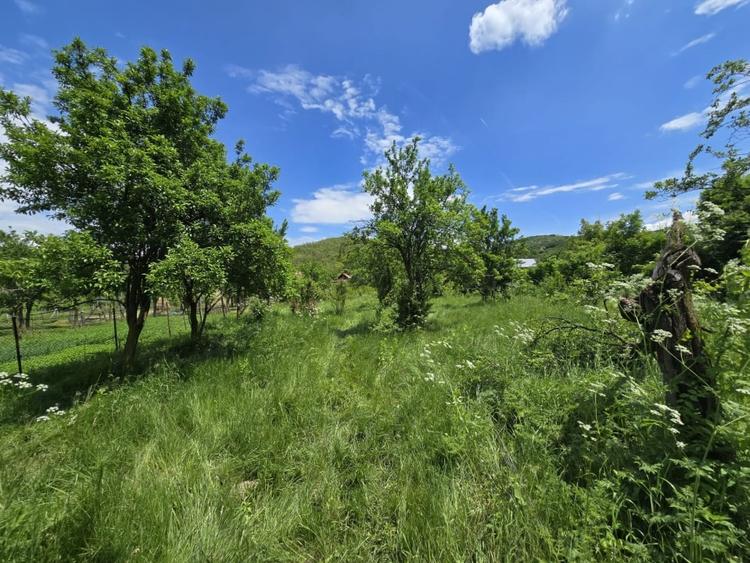 Casă individuală cu 4 camere cu Teren 3450 Mp în Mușătești