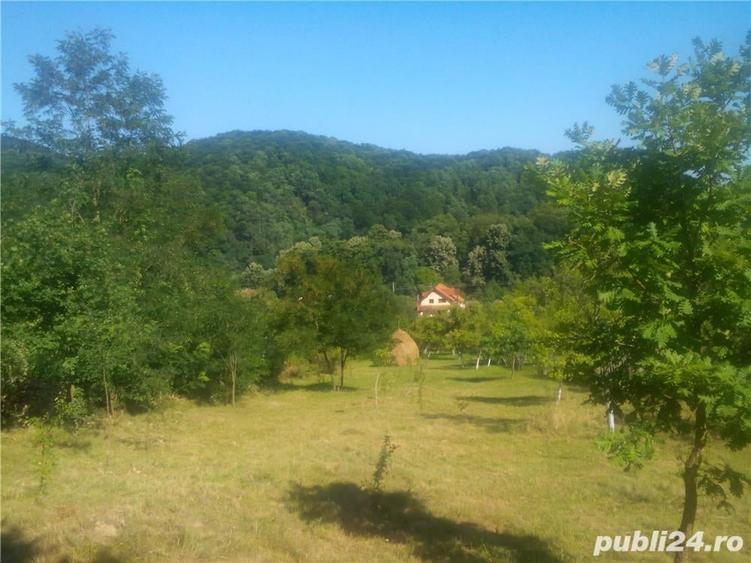 Casă cu 6 camere cu Teren 4000 Mp în Săvârșin