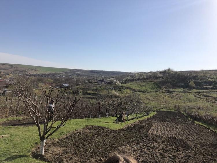 Teren de 5000 mp, în Miroslava