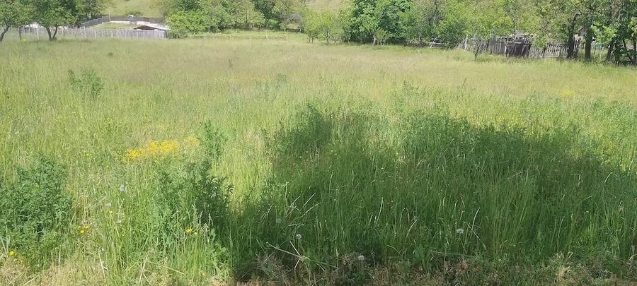 Teren de 6800 mp, în Polovragi