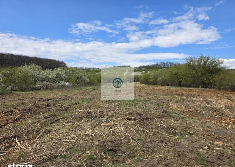 Teren agricol extravilan de 6704 mp, în Hărău