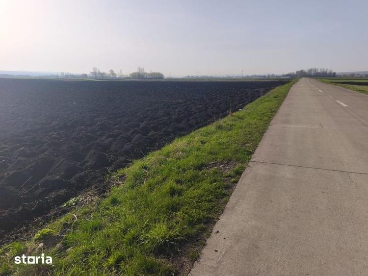 Teren de 9300 mp, în Satu Mare