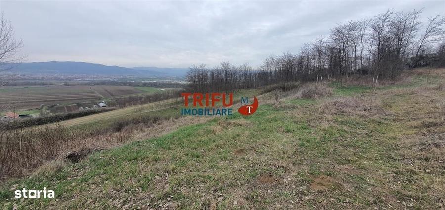 Spațiu comercial, în Ciugud