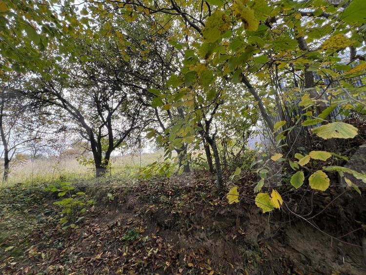 Teren spre vanzare pentru constructie casa in Feleacu. - 3