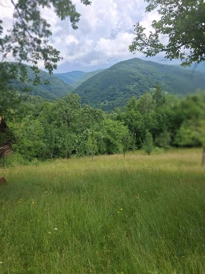 Teren de 2000 mp, în Hălmăgel