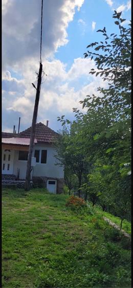 Casă cu Teren 50000 Mp în Central