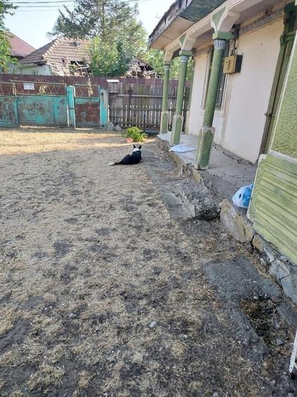 Casă individuală cu 2 camere cu Canalizare în Suraia
