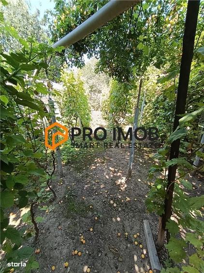 Casă cu 4 camere nedecomandat în Central